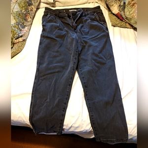 Sonoma grey pant